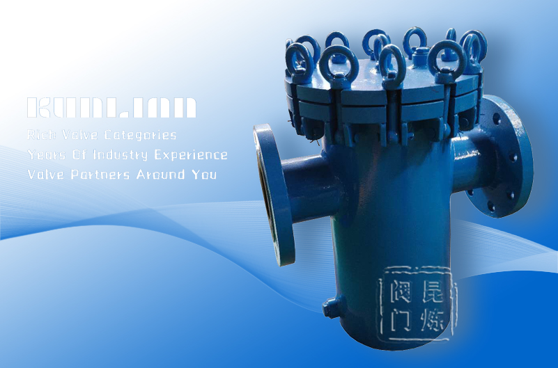 LPGK快開籃式過濾器 LPGK快開籃式過濾器