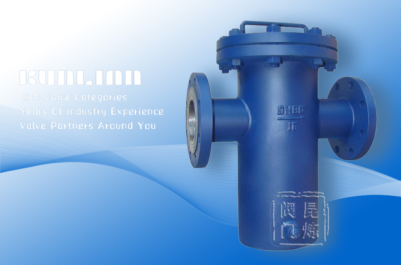 SRB14籃式過濾器 SRB14籃式過濾器