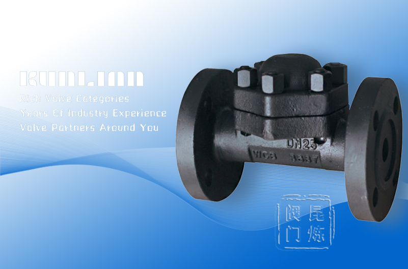 CS49�߉����m���(d��ng)��ʽ������ˮ�y